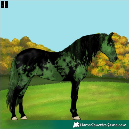 Horse Color:Void Watercolor White Spotted Smoky Black Tobiano Varnish