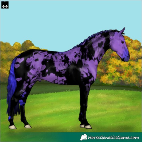 Horse Color:Void Watercolor White Spotted Smoky Grullo Tobiano 