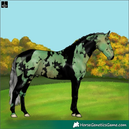 Horse Color:Void Watercolor White Spotted Silver Brown Tobiano Rabicano