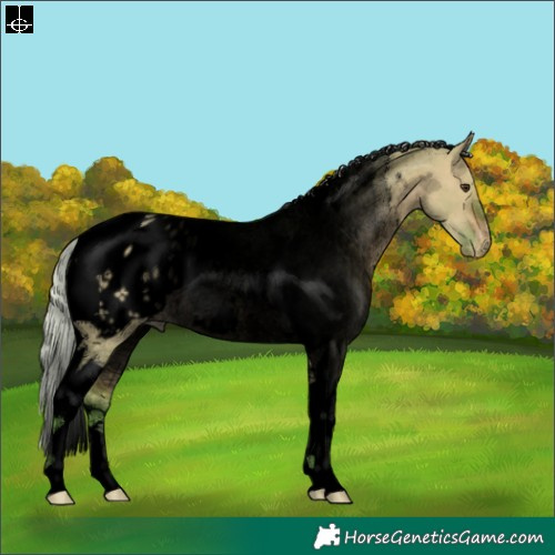 Horse Color:Void Watercolor Silver Brown Dun Tobiano Blanket Rabicano