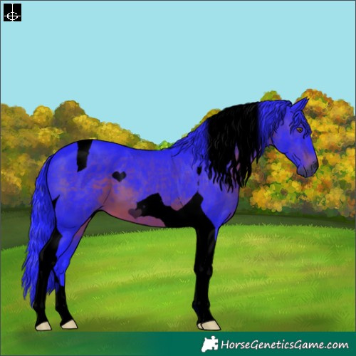 Horse Color:Gray Void Watercolor Brown Tobiano