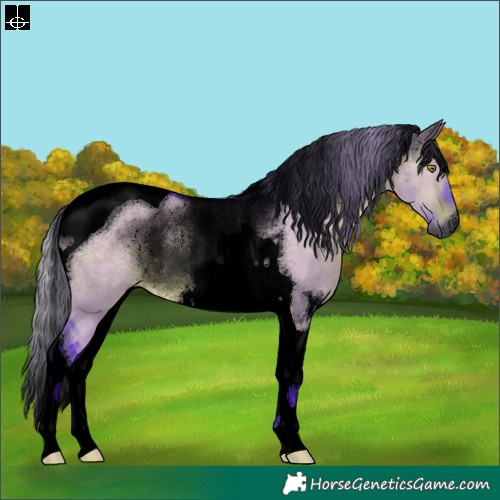 Horse Color:Gray Void Watercolor Silver Brown Dun Tobiano Rabicano 