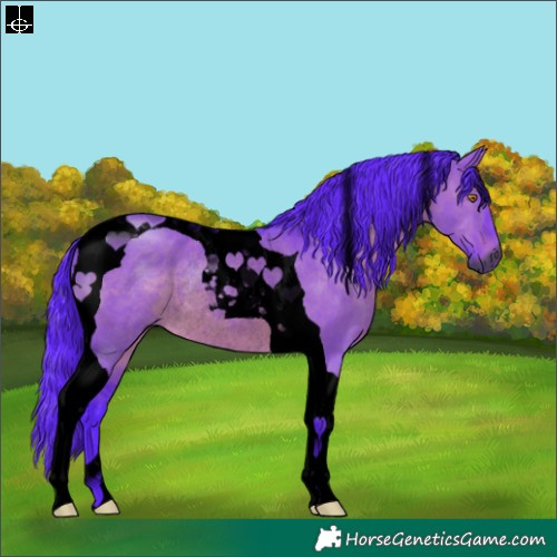 Horse Color:Gray Void Watercolor Brown Dun Tobiano Rabicano 