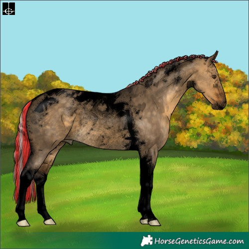 Horse Color:Void Painted Silver Buckskin Dun Tobiano Rabicano