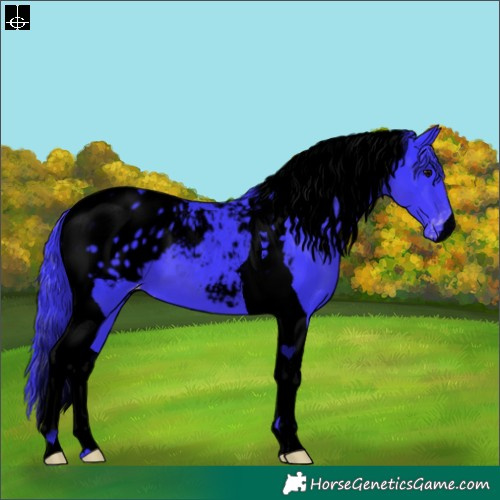Horse Color:Void Watercolor Black Tobiano Appaloosa 