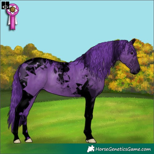 Horse Color:Void Watercolor Black Tobiano