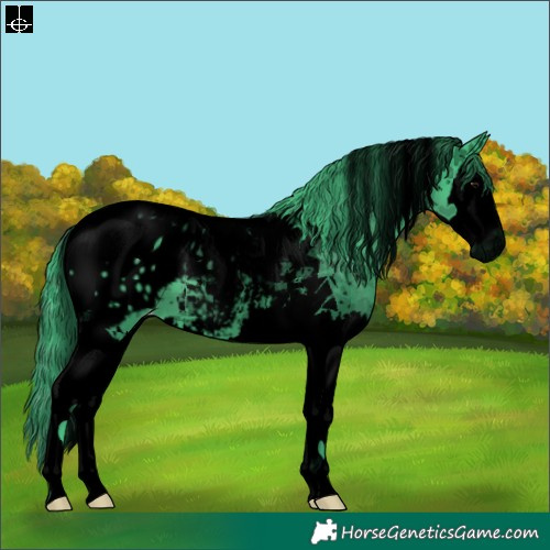 Horse Color:Void Watercolor Black Splash Tobiano Blanket