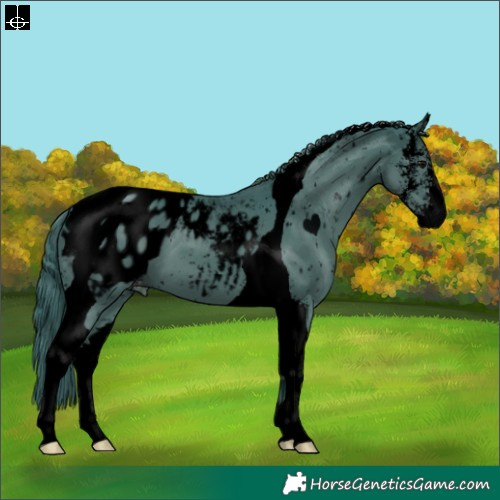 Horse Color:Void Watercolor Black Sabino Tobiano Appaloosa 