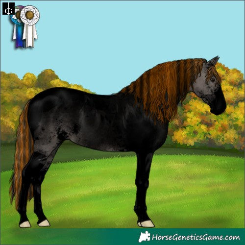 Horse Color:Void Painted Grullo Sabino Tobiano