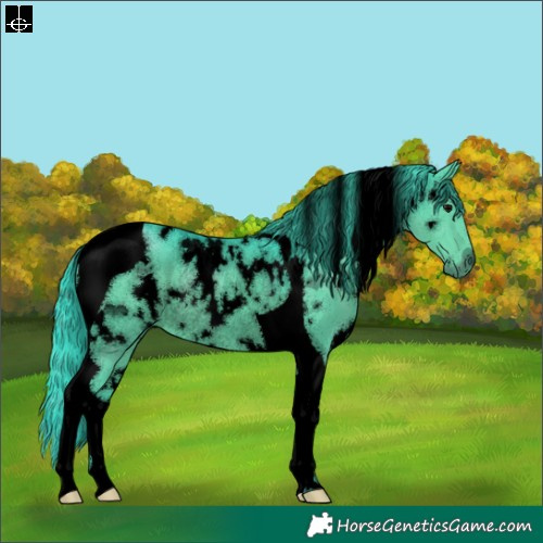 Horse Color:Void Watercolor White Spotted Black Tobiano Rabicano