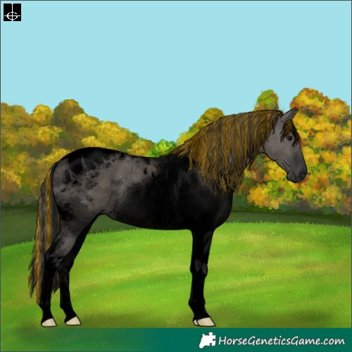 Horse Color:Void Painted Grullo Tobiano Rabicano
