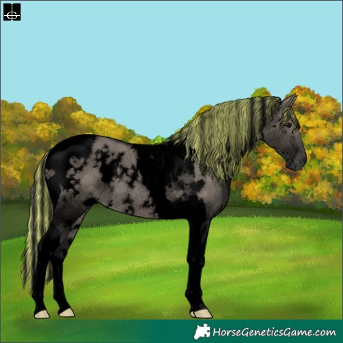Horse Color:Void Painted White Spotted Grullo Tobiano Rabicano