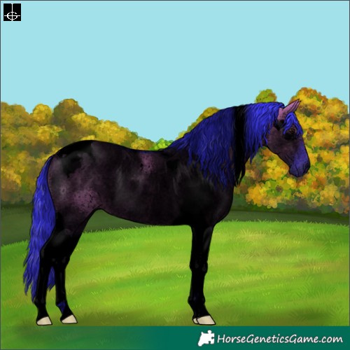 Horse Color:Void Watercolor Grullo Tobiano Rabicano 