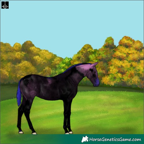 Horse Color:Void Watercolor Grullo Tobiano Rabicano 