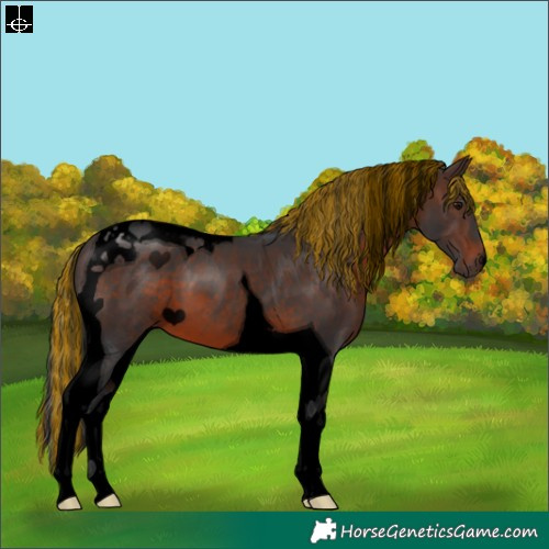 Horse Color:Void Painted Brown Tobiano
