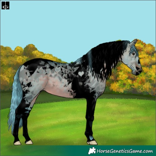 Horse Color:Void Watercolor Brown Dun Tobiano