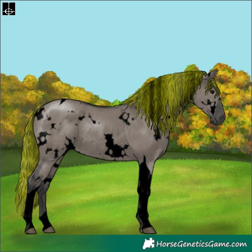 Horse Color:Void Painted White Spotted Grullo Tobiano Rabicano Brindle