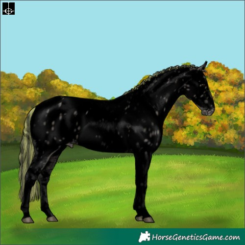 Horse Color:Void Painted Grullo Tobiano Appaloosa Rabicano Brindle