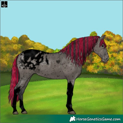Horse Color:Void Painted Grullo Tobiano Snowflake Varnish Rabicano Brindle