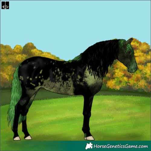 Horse Color:Void Watercolor Grullo Tobiano Blanket Rabicano Brindle 