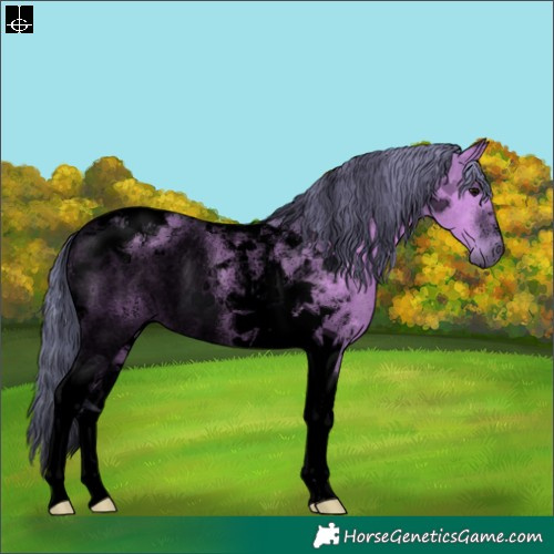 Horse Color:Void Watercolor Grullo Tobiano Rabicano 
