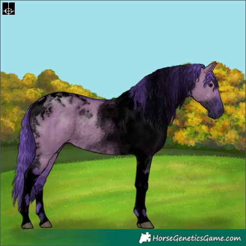 Horse Color:Void Watercolor Grullo Tobiano Rabicano Brindle