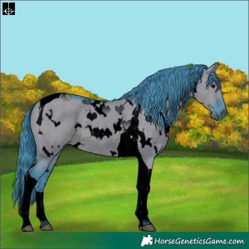 Horse Color:Void Watercolor White Spotted Grullo Tobiano Rabicano