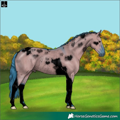 Horse Color:Void Watercolor Grullo Tobiano Rabicano
