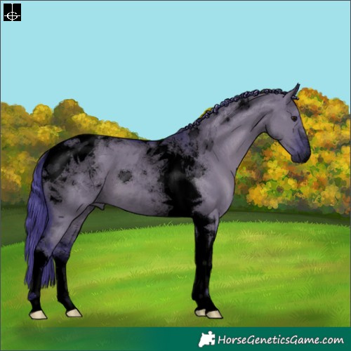 Horse Color:Void Watercolor Grullo Tobiano 