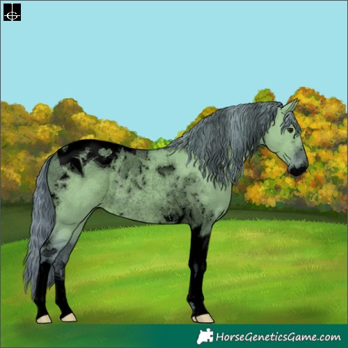 Horse Color:Void Watercolor Grullo Tobiano Rabicano