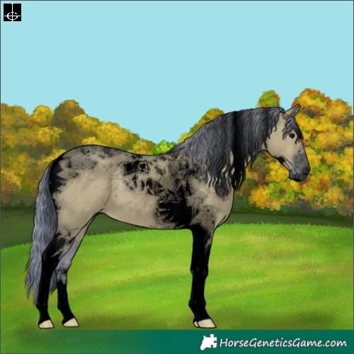 Horse Color:Void Watercolor Grullo Tobiano 
