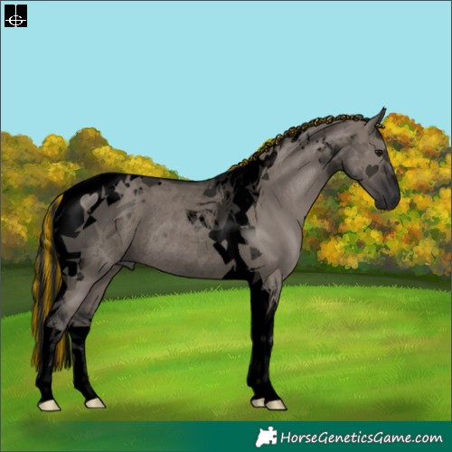 Horse Color:Void Painted Grullo Tobiano Rabicano