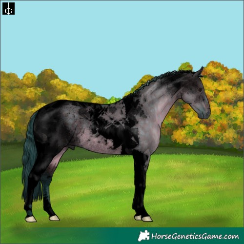 Horse Color:Void Watercolor Brown Dun Tobiano Rabicano