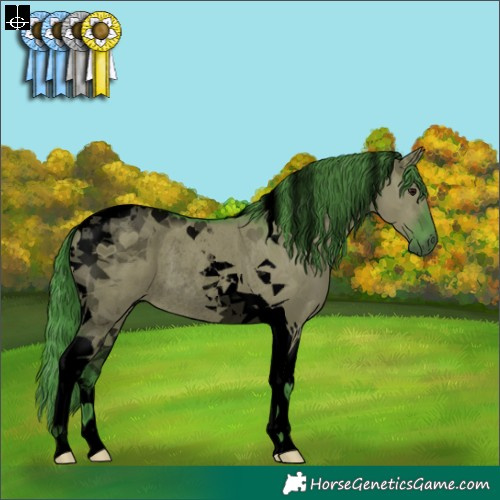 Horse Color:Void Watercolor Grullo Tobiano Rabicano