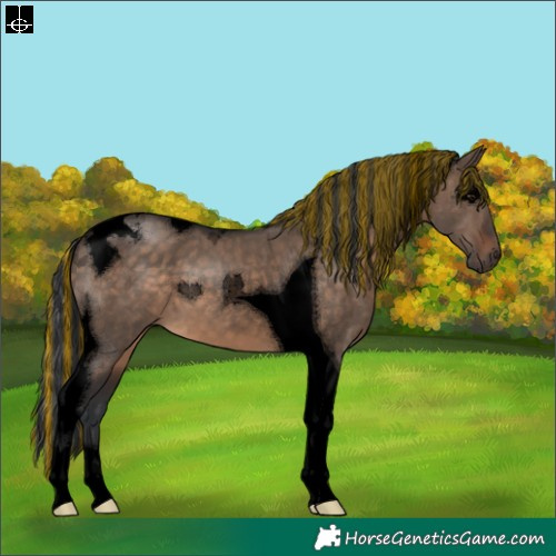 Horse Color:Void Painted Brown Dun Tobiano
