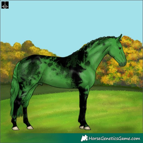 Horse Color:Void Watercolor Black Tobiano 