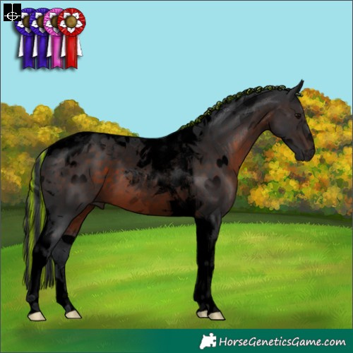 Horse Color:Void Painted Brown Tobiano 