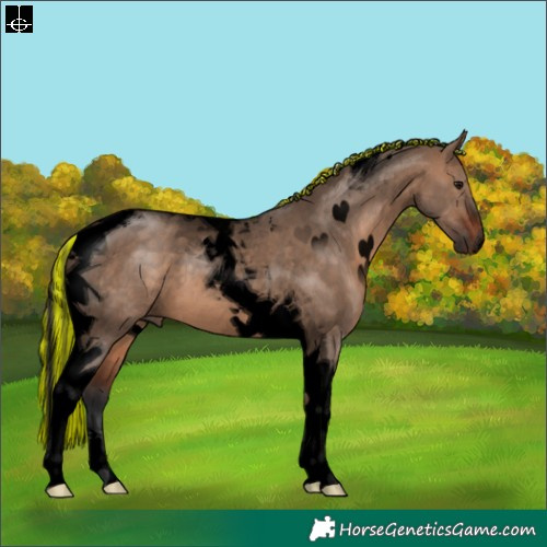 Horse Color:Void Painted Brown Dun Tobiano