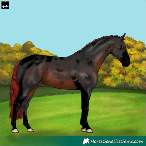 Horse Color:Void Painted Brown Sabino Tobiano Appaloosa 