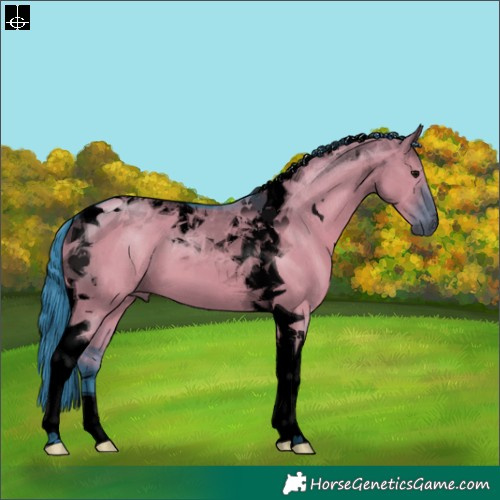 Horse Color:Void Watercolor Grullo Tobiano