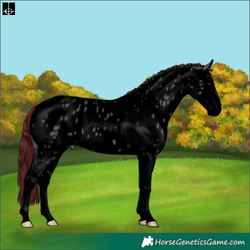 Horse Color:Void Painted Grullo Sabino Tobiano Appaloosa 