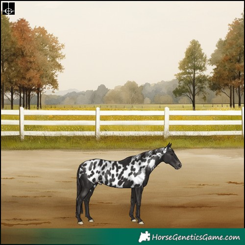 Horse Color:Liver Chestnut Skewed LP Spotted Rabicano