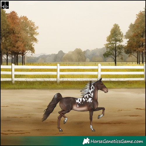 Horse Color:Liver Chestnut Tobiano Skewed Appaloosa Rabicano 