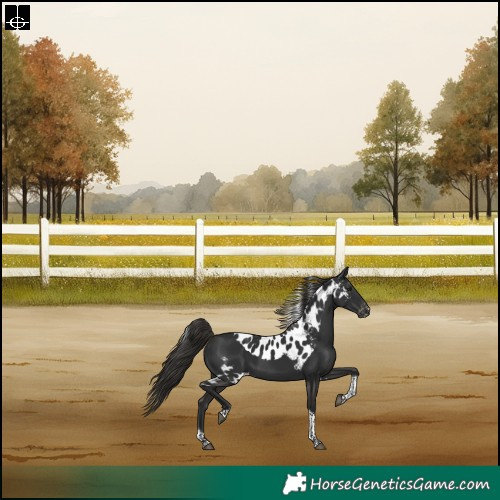 Horse Color:Liver Chestnut Tobiano Skewed Appaloosa Rabicano 