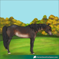 Horse Color:Brown 