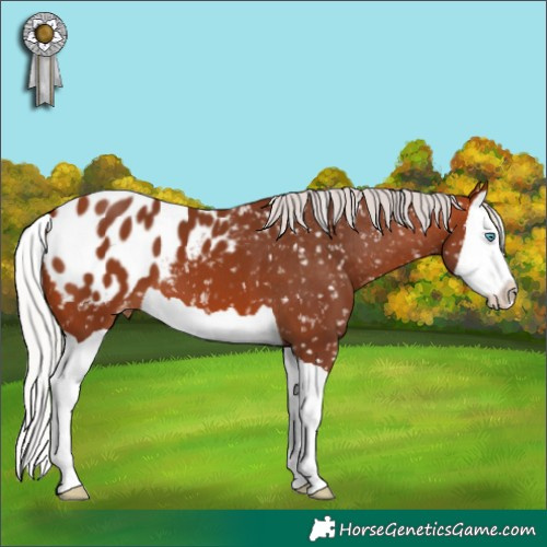 Horse Color:Silver Bay Splash Blanket