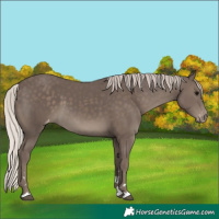 Horse Color:Silver Black Varnish