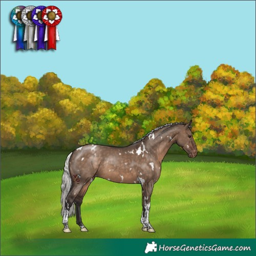 Horse Color:White Spotted Silver Brown Dun Tobiano Appaloosa Rabicano
