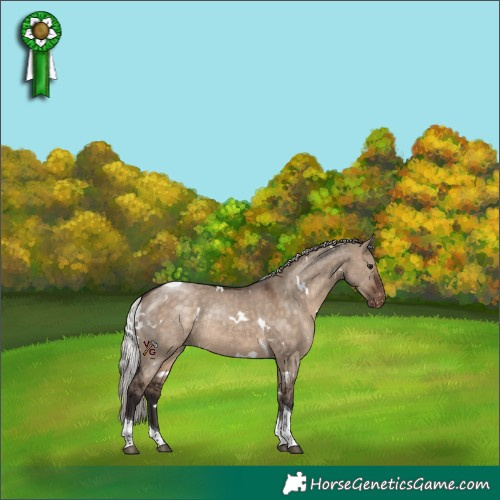 Horse Color:White Spotted Silver Brown Dun Tobiano Appaloosa Rabicano