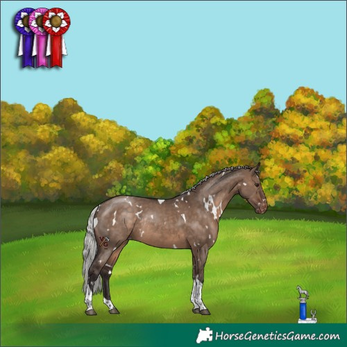 Horse Color:White Spotted Silver Brown Dun Tobiano Appaloosa Rabicano 